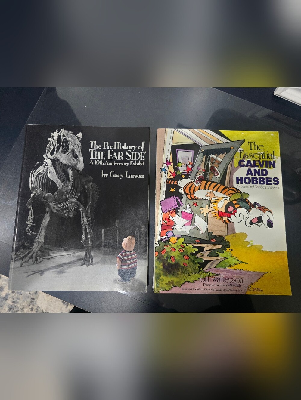 Calvin And Hobbes Books